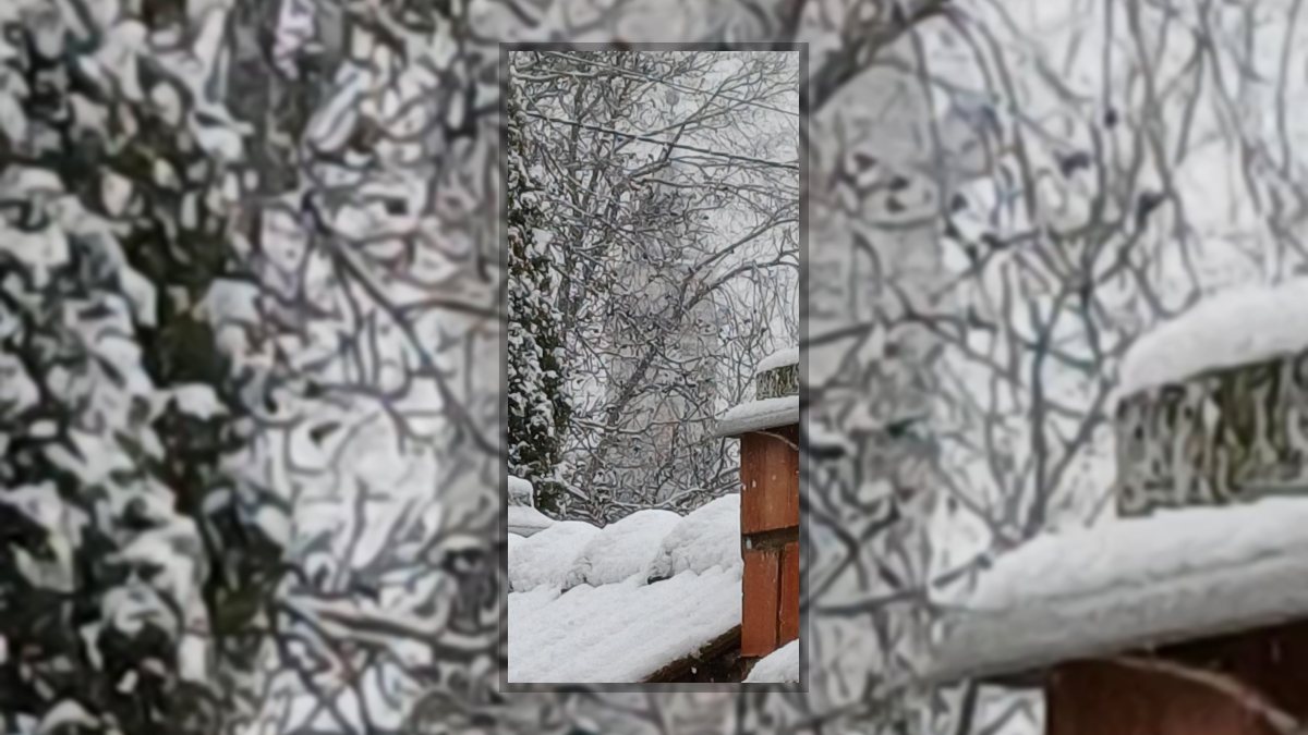 Czirják Tiborné Móra Gyöngyi: Beköszönt a tél című vers illusztrációja a Múzsák Könyvtárában