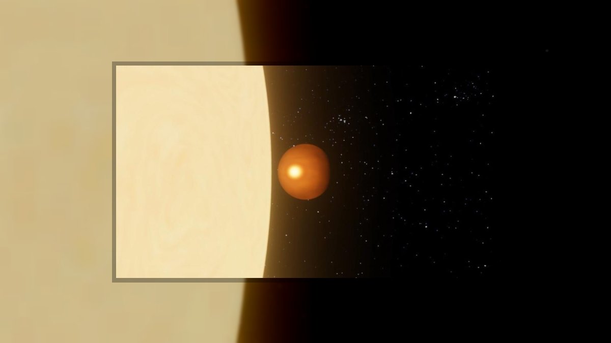 Krivák-Móricz Ilona: A nevemben... című vers illusztrációja a Múzsák Könyvtárában