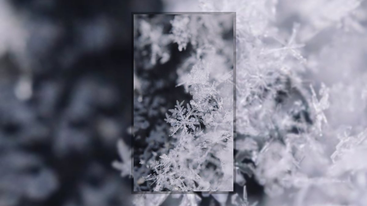 Papp-Erdei Barbara(Barbara Liney Woods): Csipkét szőtt hópelyhek című vers illusztrációja a Múzsák Könyvtárában