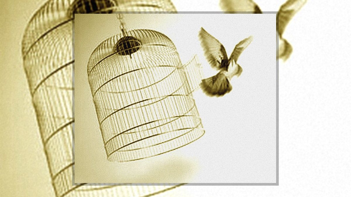 Gyólay Karolina: A lélek egy madár című vers illusztrációja a Múzsák Könyvtárában