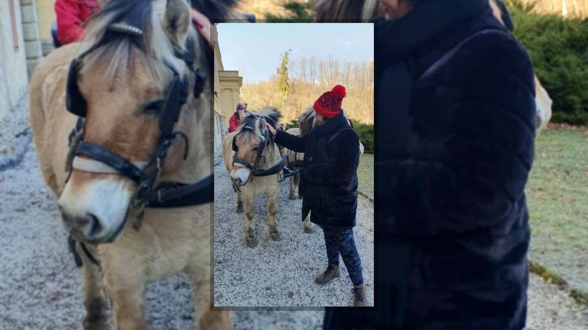 Bonnie Marcelé: Lépj ki... című vers illusztrációja a Múzsák Könyvtárában