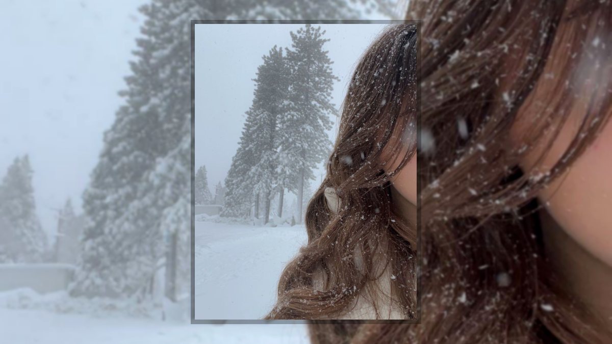 Lajos Anikó: Hulló illúzió című vers illusztrációja a Múzsák Könyvtárában