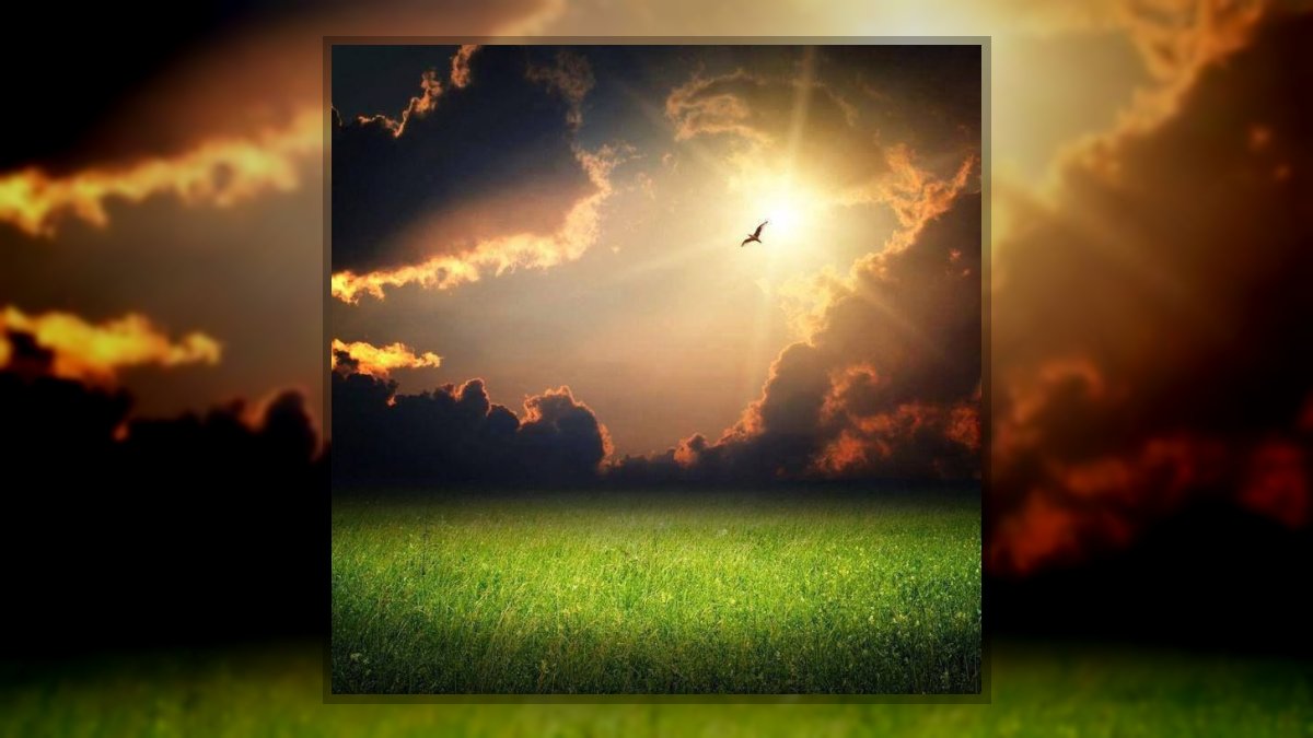 Szabó Szabina: Áldott percek című vers illusztrációja a Múzsák Könyvtárában