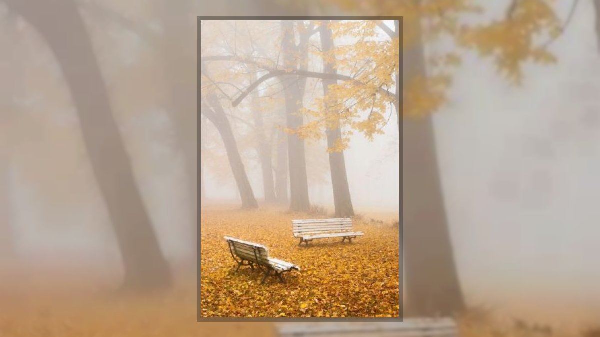 Gábor Edit: Köd haiku csokor című vers illusztrációja a Múzsák Könyvtárában