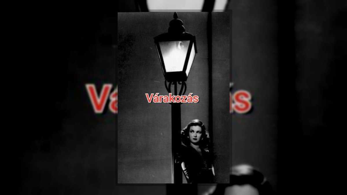 Vizkeleti Erzsébet: Várakozás című vers illusztrációja a Múzsák Könyvtárában