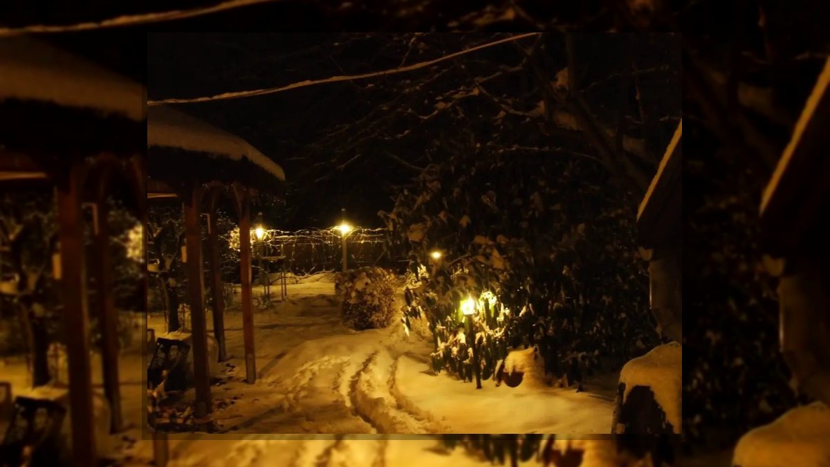 Gábor Edit: „Meseország” kapujában című vers illusztrációja a Múzsák Könyvtárában