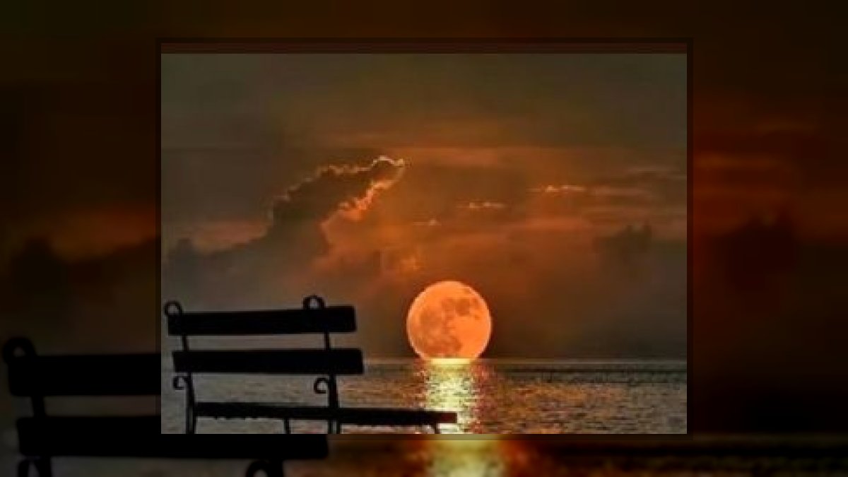 Aurora Amelia Joplin: A Hold bennem című vers illusztrációja a Múzsák Könyvtárában