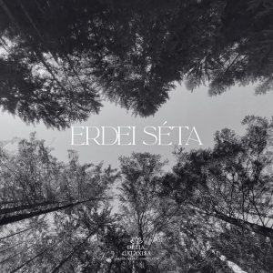 Mátyus Délia Erzsébet: Erdei séta című vers illusztrációja a Múzsák Könyvtárában