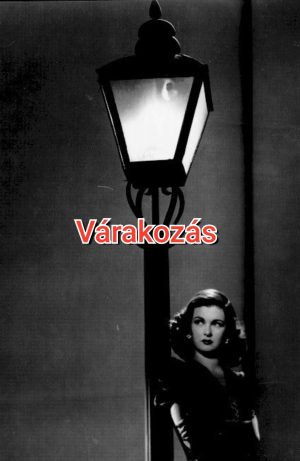 Vizkeleti Erzsébet: Várakozás című vers illusztrációja a Múzsák Könyvtárában