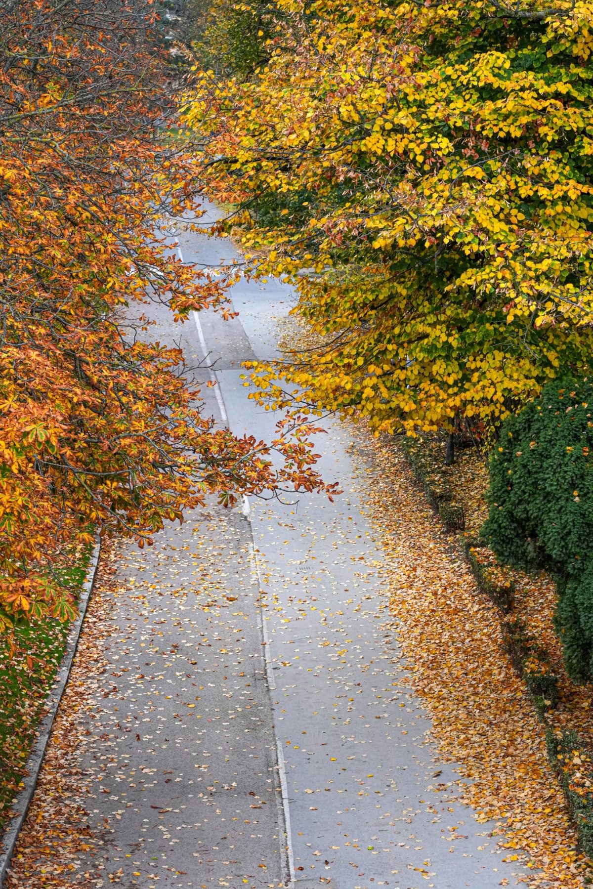 Híres B Ede: Élet dobbanások (3) című novella illusztrációja a Múzsák Könyvtárában.