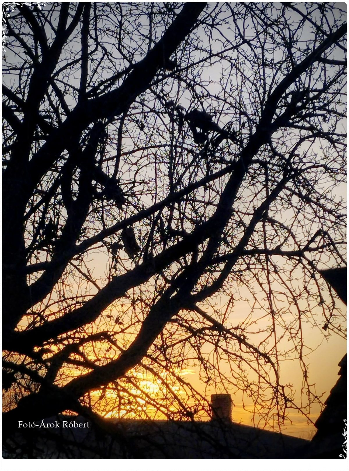 Híres B Ede: Távolodva című vers illusztrációja a Múzsák Könyvtárában