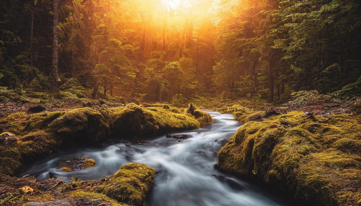 Gani Zsuzsa: Színek festik a naplementét című vers illusztrációja a Múzsák Könyvtárában