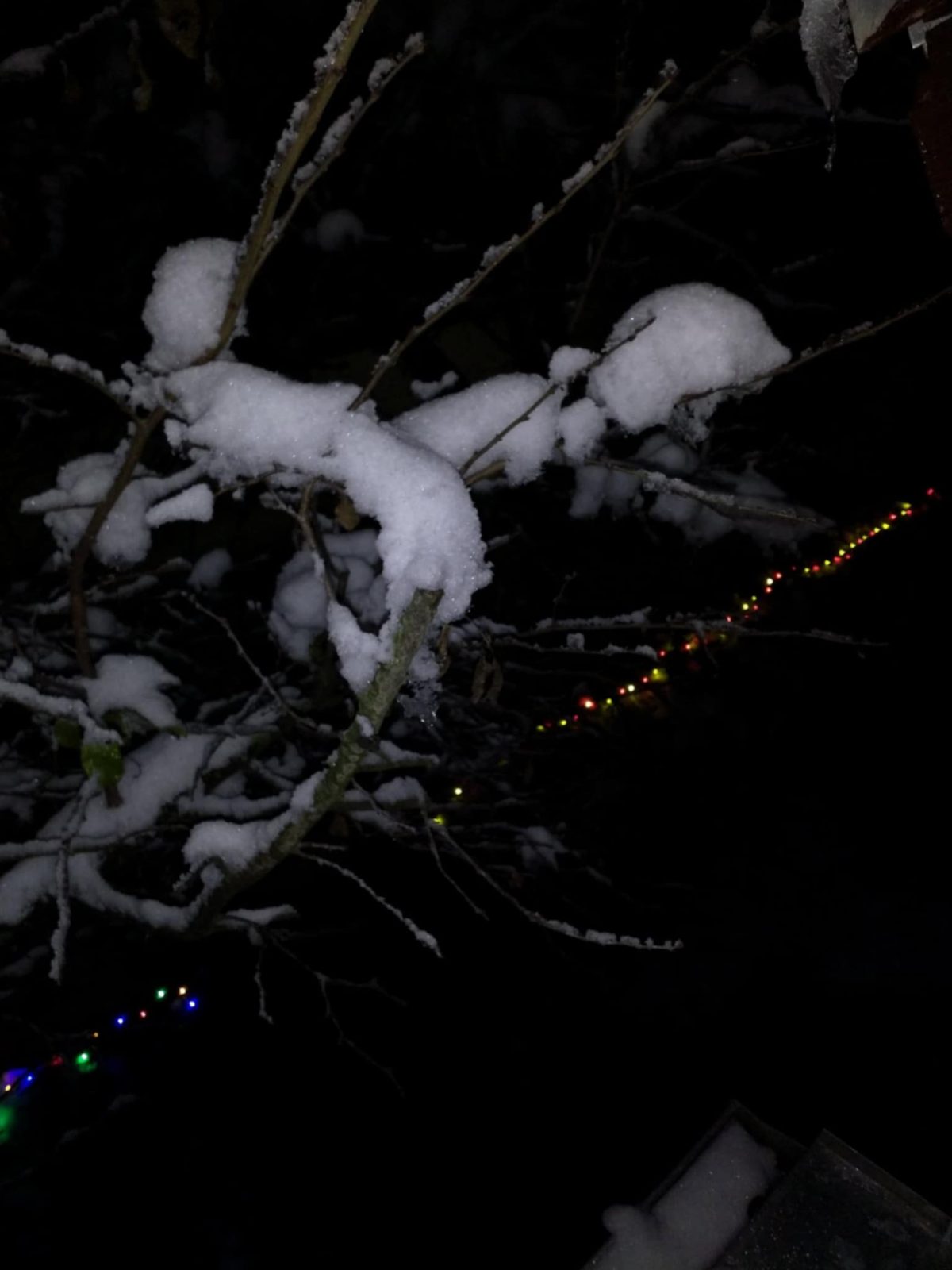 Gábor Edit: Hó szív című vers illusztrációja a Múzsák Könyvtárában