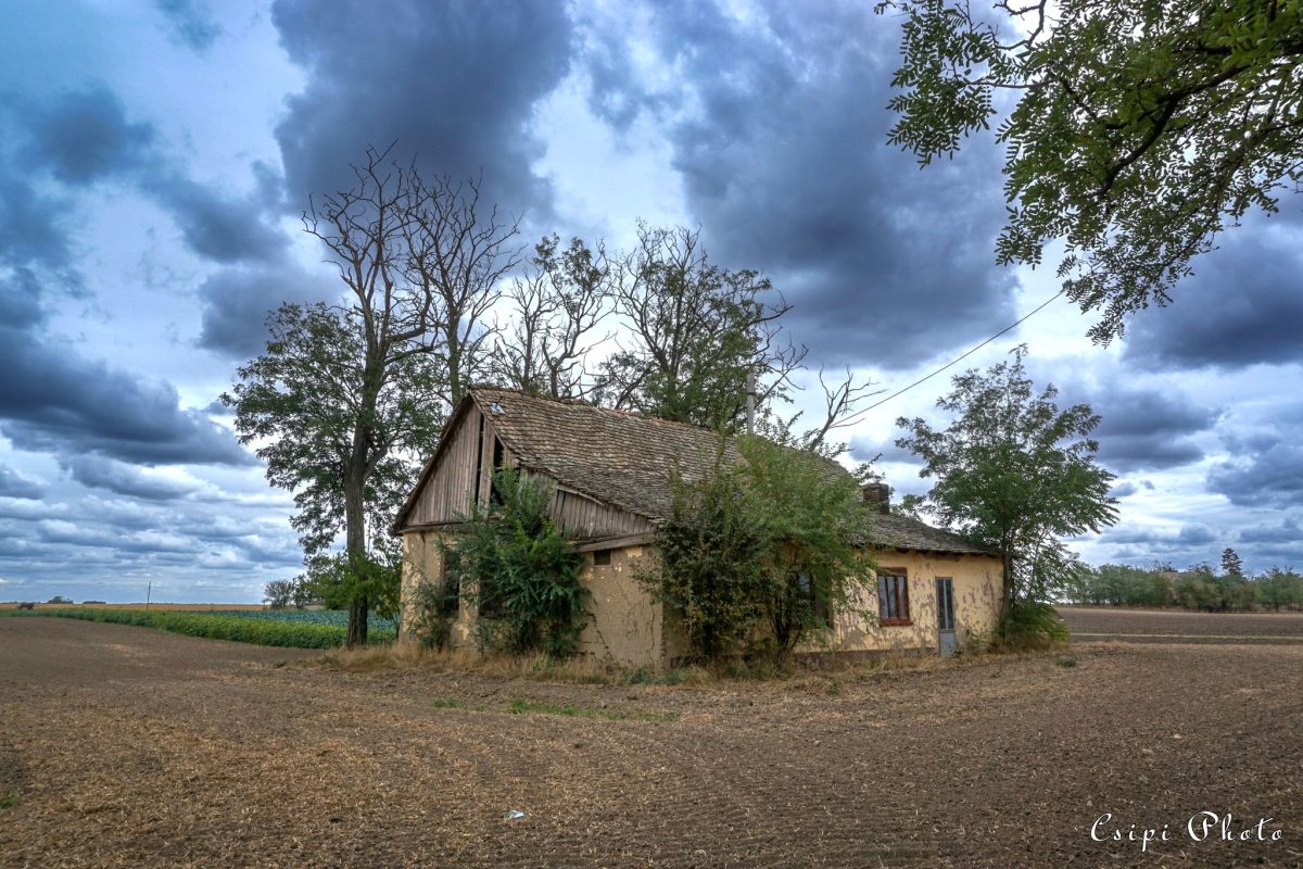 Híres B Ede: Bennem fájó emlékek című vers illusztrációja a Múzsák Könyvtárában
