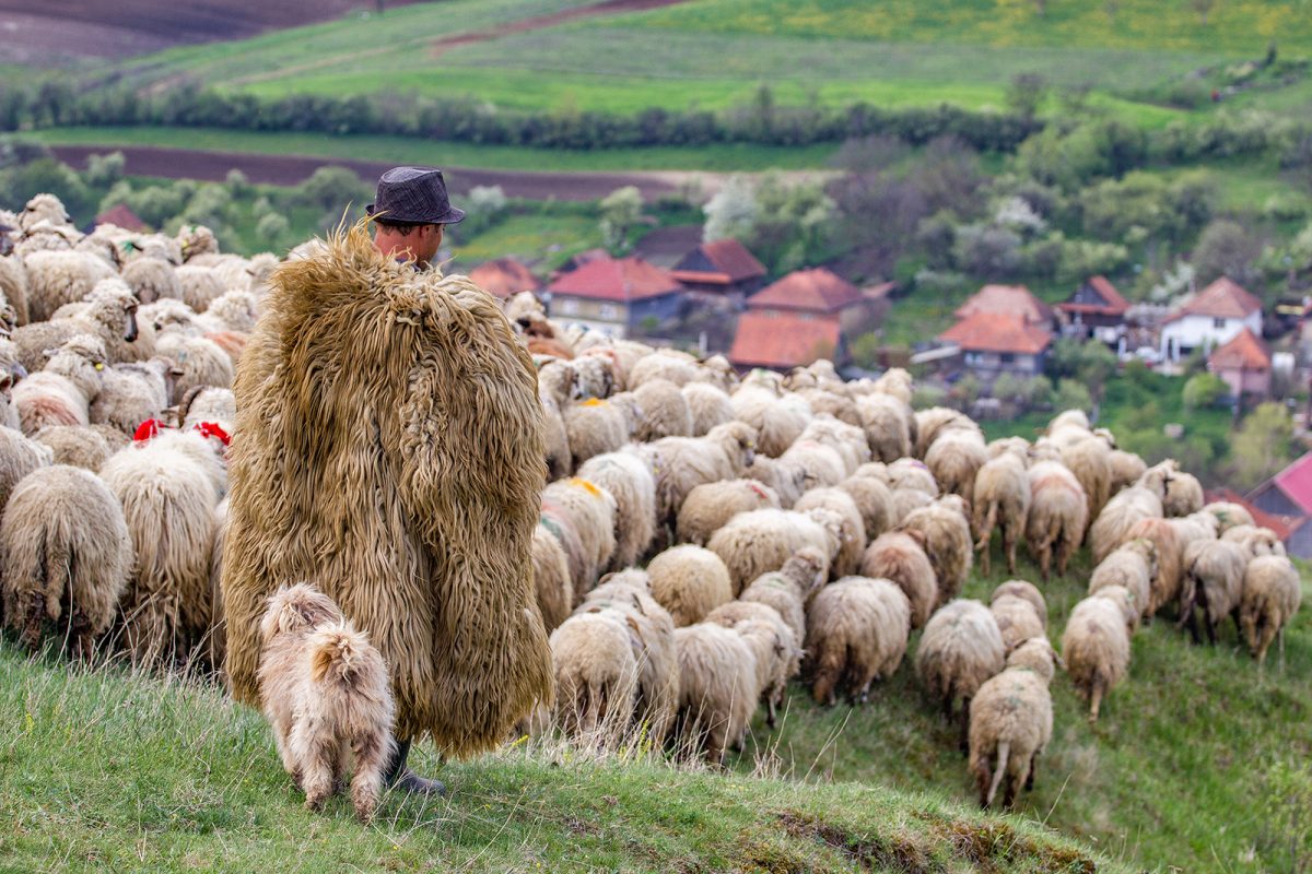 Krivák-Móricz Ilona: Miért akartok? című vers illusztrációja a Múzsák Könyvtárában
