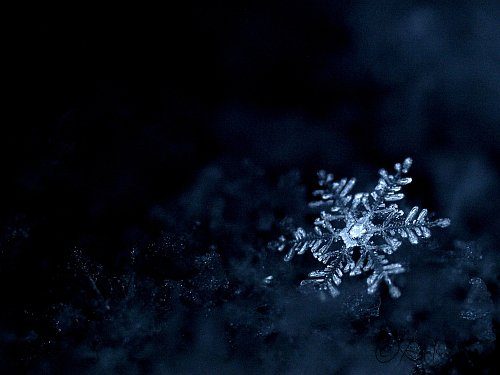 Szabó Szabina: Hópehely című novella illusztrációja a Múzsák Könyvtárában.