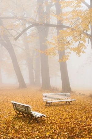 Gábor Edit: Köd haiku csokor című vers illusztrációja a Múzsák Könyvtárában