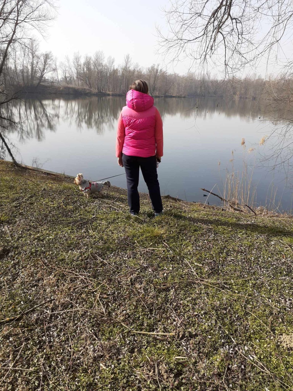 Soósné Balassa Eszter: Az út vége című vers illusztrációja a Múzsák Könyvtárában