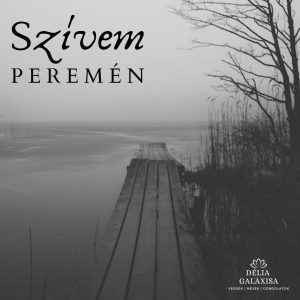 Mátyus Délia Erzsébet: Szívem peremén című vers illusztrációja a Múzsák Könyvtárában