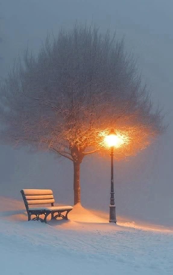 Aurora Amelia Joplin: Újév fehérben című vers illusztrációja a Múzsák Könyvtárában