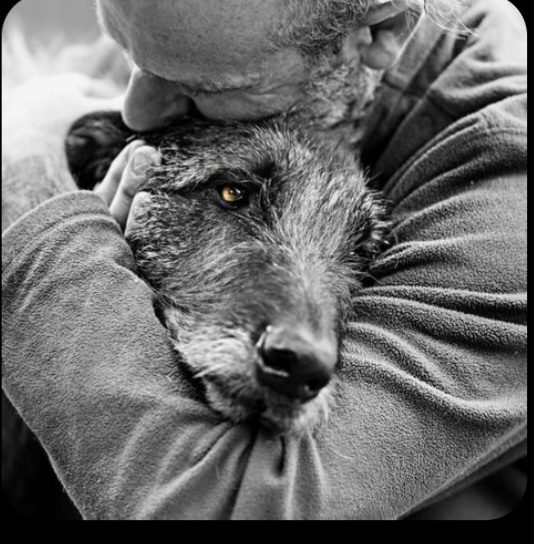 Ynela Zíléna: Marad című vers illusztrációja a Múzsák Könyvtárában