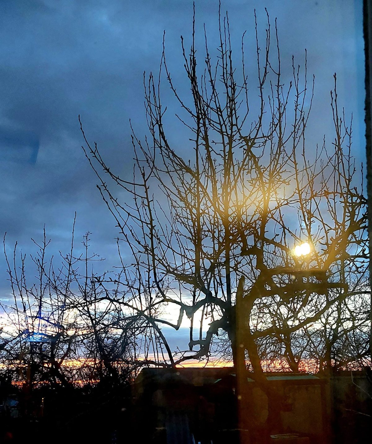 Petres Katalin: Elveszett álom című vers illusztrációja a Múzsák Könyvtárában