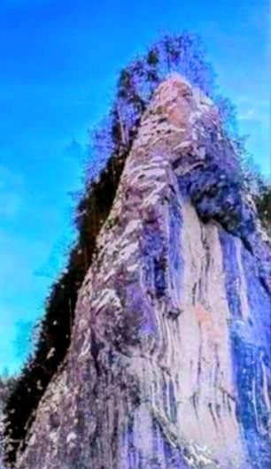 Gábor Edit: Fa a sziklán című vers illusztrációja a Múzsák Könyvtárában