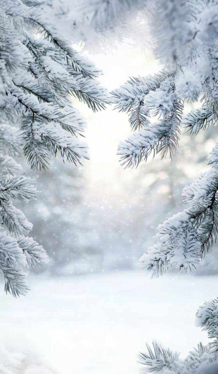 Papp-Erdei Barbara(Barbara Liney Woods): Hóba zárt új év című vers illusztrációja a Múzsák Könyvtárában