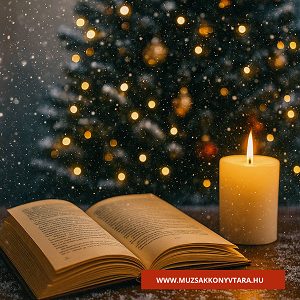 Kendi: A karácsonyfa alatt lapuló könyv titka című novella illusztrációja a Múzsák Könyvtárában.