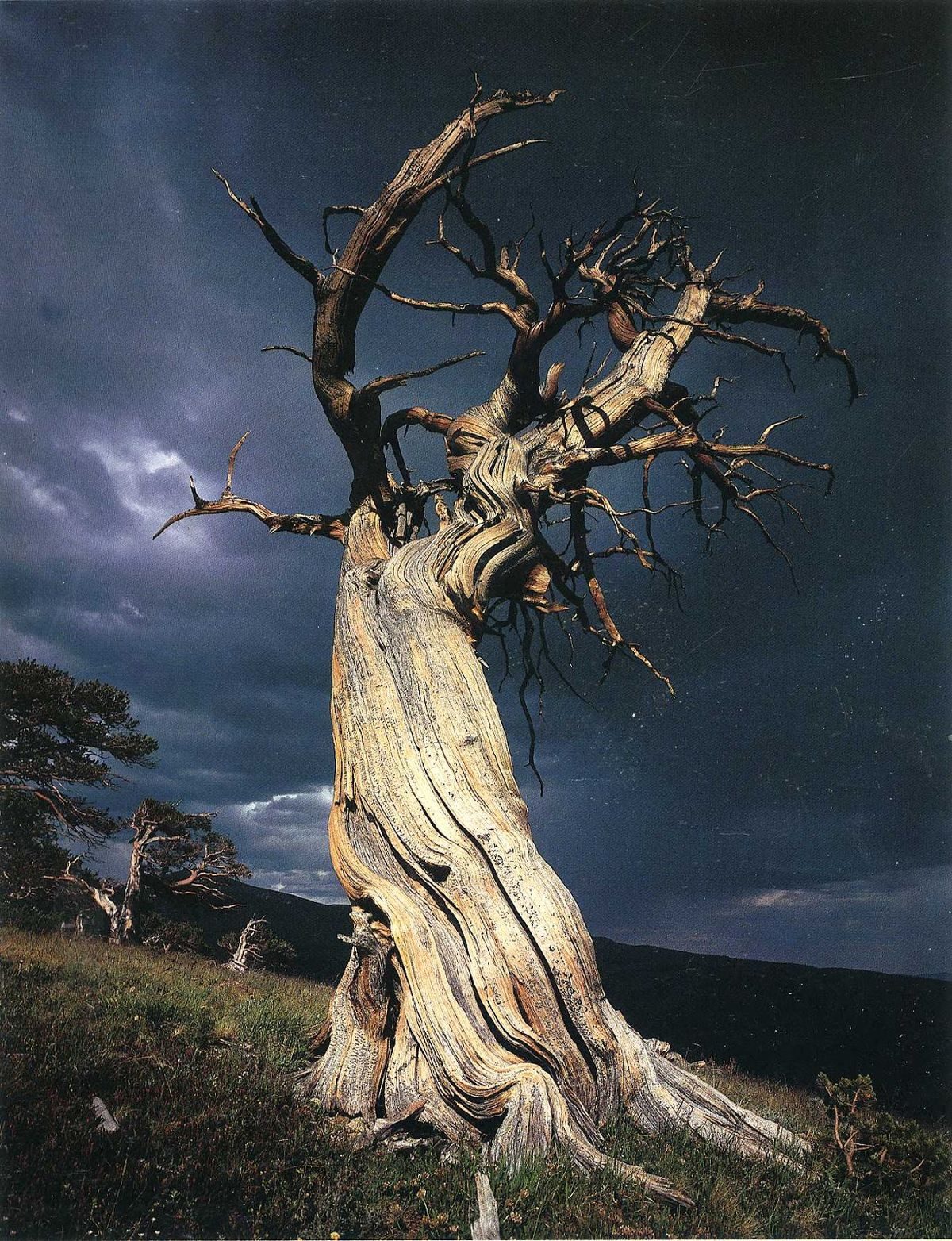 Híres B Ede: Innét a végtelenen című vers illusztrációja a Múzsák Könyvtárában